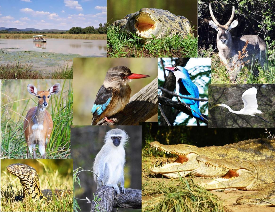 Crocodile Pools River Safaris Gaborone Eksteriør billede